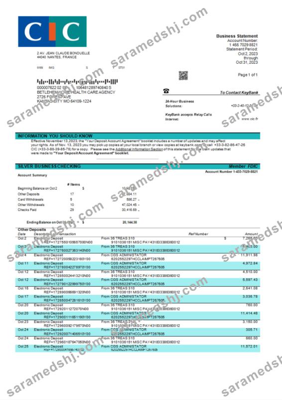 CIC Bank enterprise statement Word and PDF template